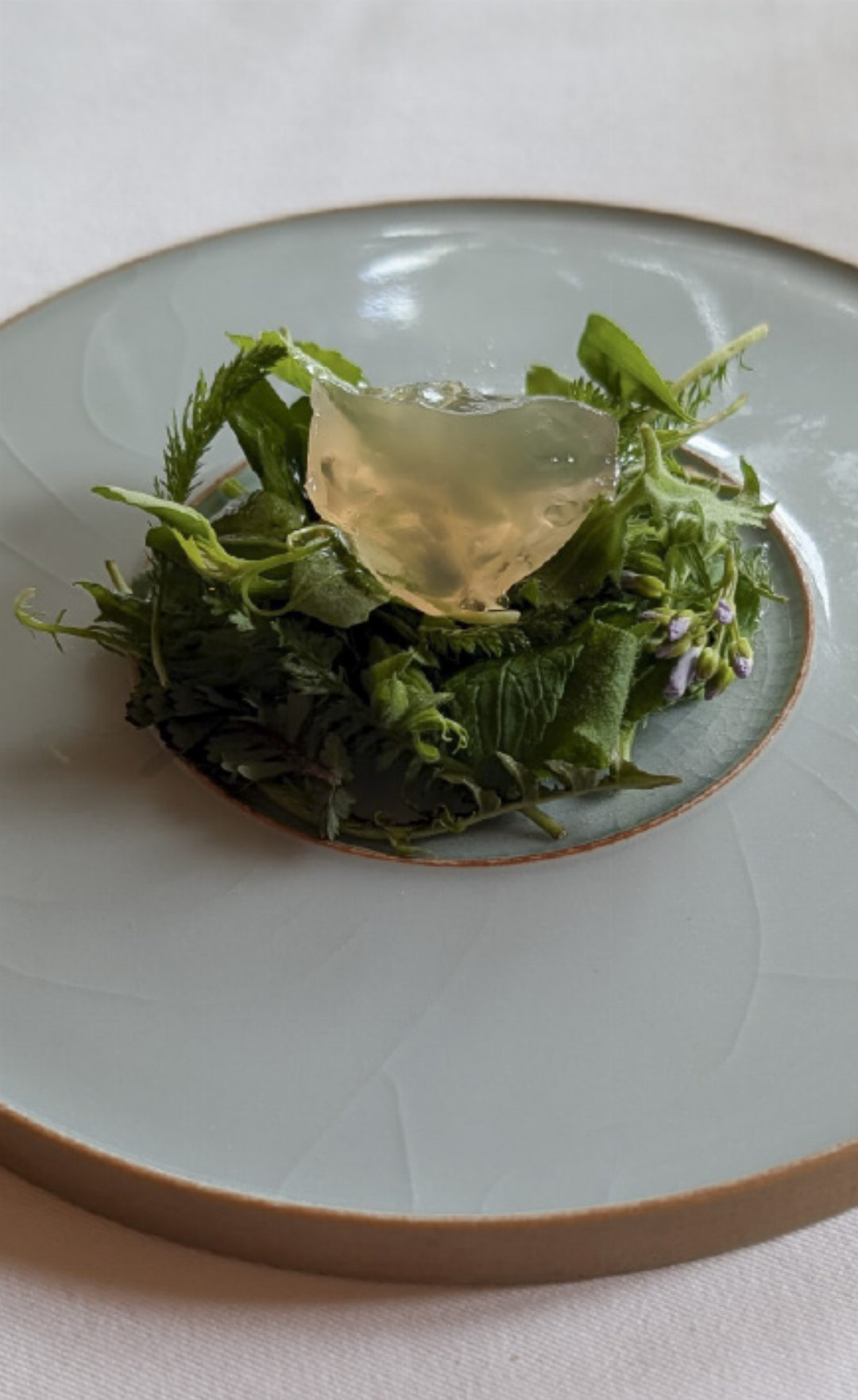 Der Sternekoch liebt frische Kräuter aus dem Garten. Hier als Zwischengang mit einem Rhabarbergelee dekoriert. Der Sternekoch liebt frische Kräuter aus dem Garten. Hier als Zwischengang mit einem Rhabarbergelee dekoriert.