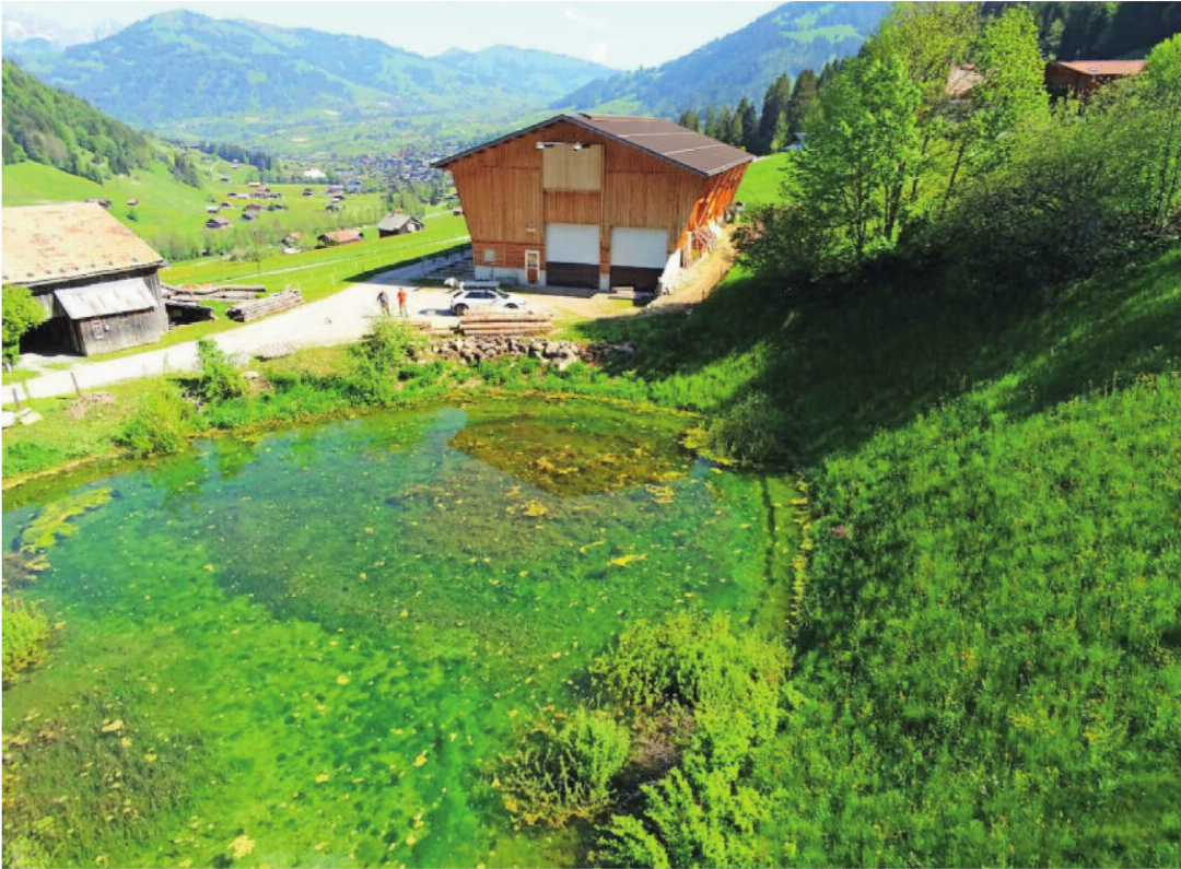 Drohnenaufnahme der Doline vor der Sanierung im September 2025 mit vielen Algen. FOTO: ZVG Drohnenaufnahme der Doline vor der Sanierung im September 2025 mit vielen Algen. FOTO: ZVG