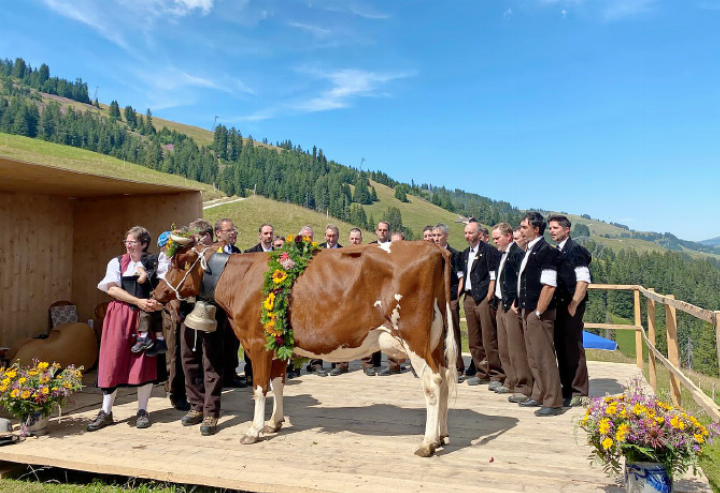 Ein Highlight des Tages ist die Vorführung der Meisterkuh. FOTO: ARCHIV/CÉDRIC YERSIN