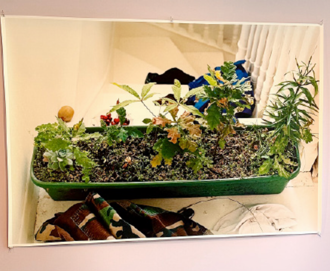 «Nach dem MoMA nun Tarmak», scherzt Kuratorin Antonia Crespi. Wolfgang Tillmans’ «Windowbox» kommt nach Gstaad, nachdem das Werk in seiner grossen Retrospektive «To look without fear» im Museum of Modern Art in New York zu sehen war. «Nach dem MoMA nun Tarmak», scherzt Kuratorin Antonia Crespi. Wolfgang Tillmans’ «Windowbox» kommt nach Gstaad, nachdem das Werk in seiner grossen Retrospektive «To look without fear» im Museum of Modern Art in New York zu sehen war.