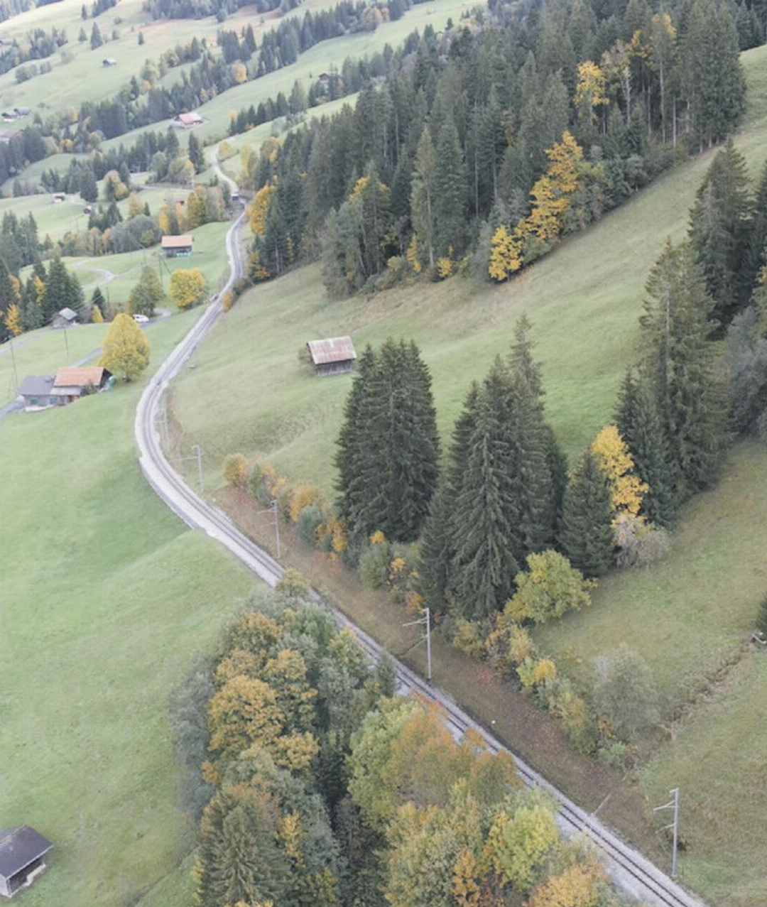 Blick auf die Wäfl ereweid: Hier soll eine neue Kreuzungsstelle den Bahnverkehr stabiler machen. Blick auf die Wäfl ereweid: Hier soll eine neue Kreuzungsstelle den Bahnverkehr stabiler machen.