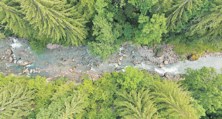 Was wäre das Saanenland ohne seine Gewässer? Hier der Louibach aus der Vogelperspektive. ARCHIVFOTO: MARCO MINNIG Was wäre das Saanenland ohne seine Gewässer? Hier der Louibach aus der Vogelperspektive. ARCHIVFOTO: MARCO MINNIG