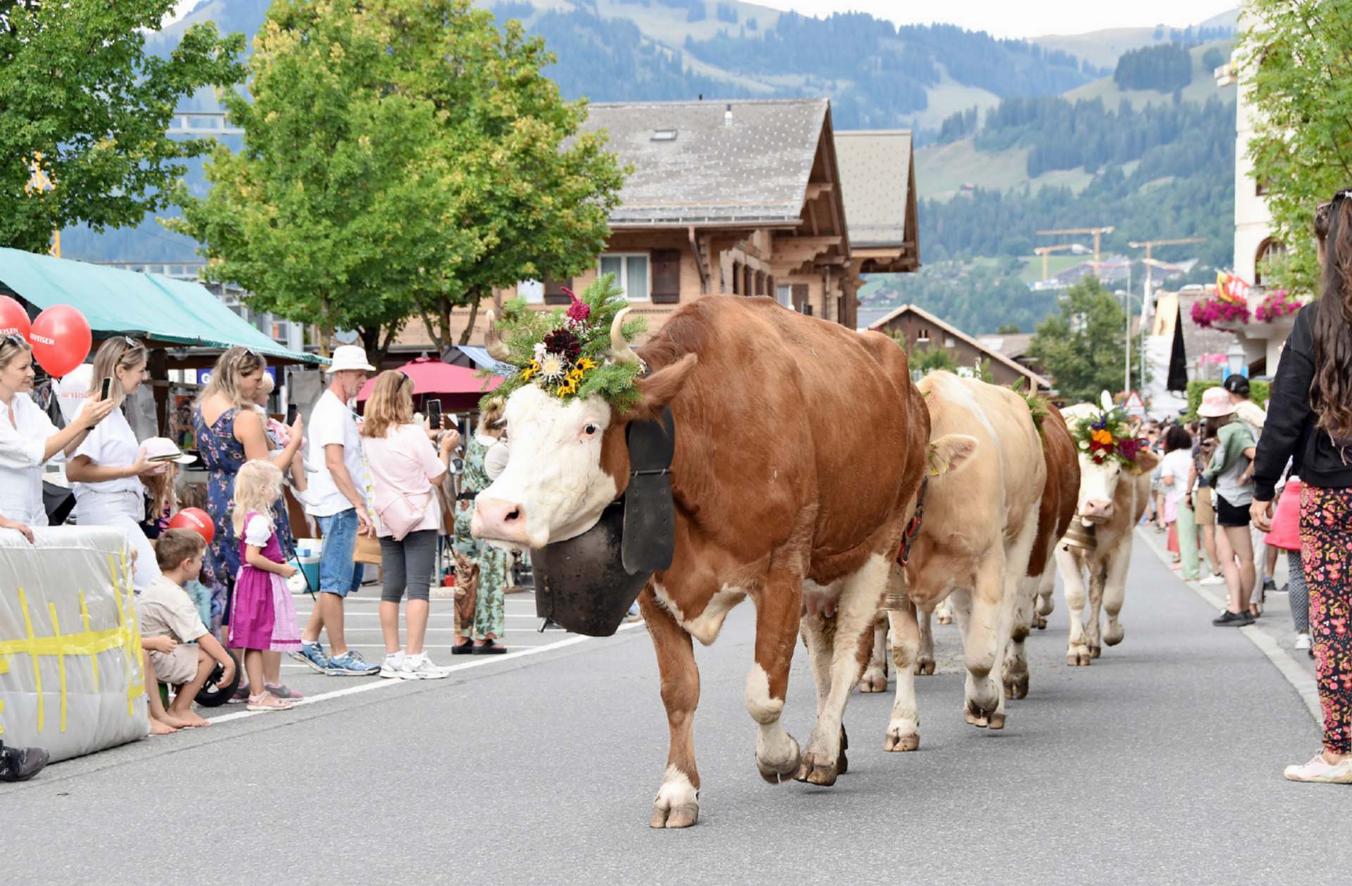 OK der Gstaad Züglete: «Wir sind glücklich und dankbar» - Das Bild wird blockiert. – Möglicherweise durch einen aktiven Adblocker.