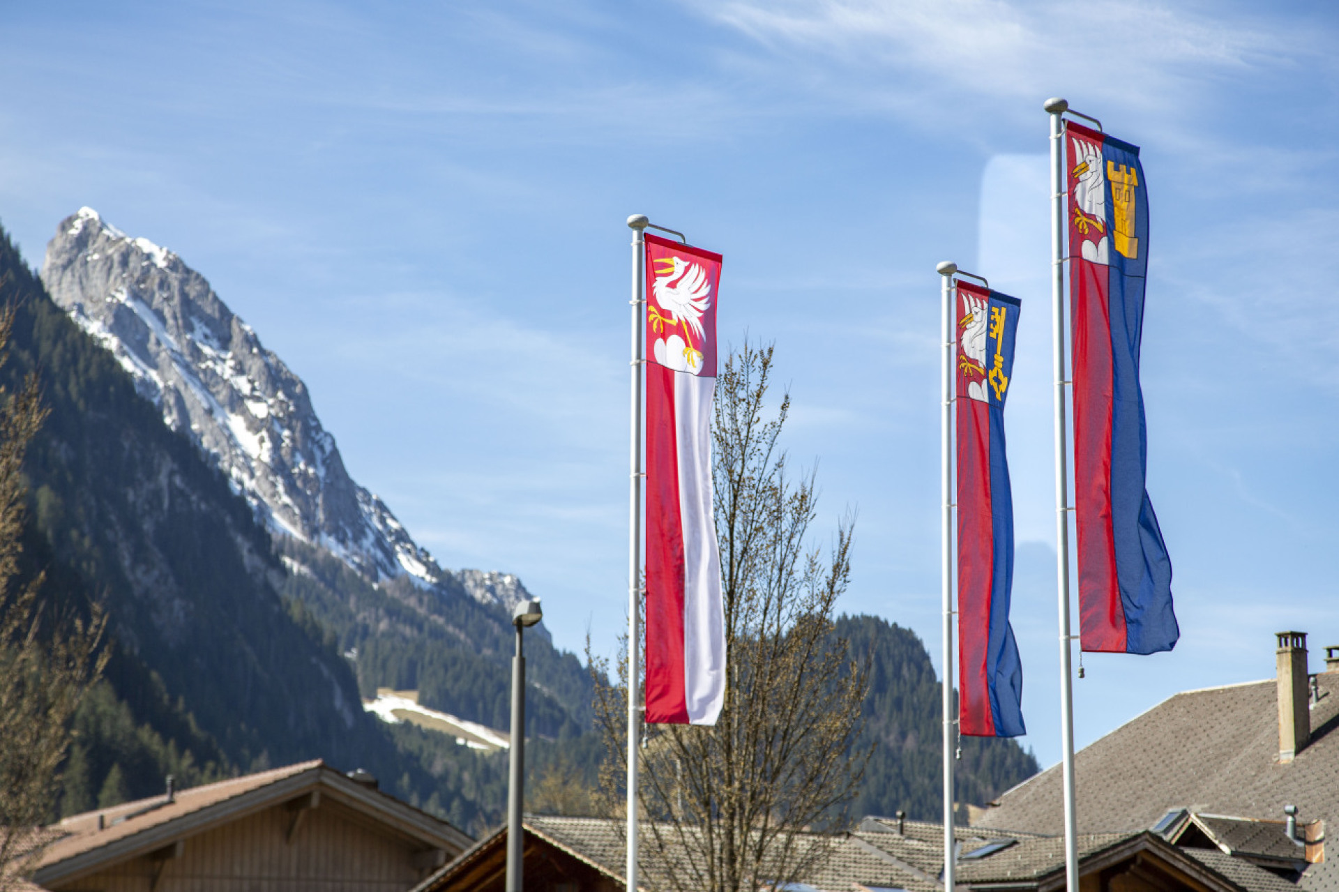 Gemeindeversammlung Saanen: Dies sind die Abstimmungsergebnisse - Das Bild wird blockiert. – Möglicherweise durch einen aktiven Adblocker.