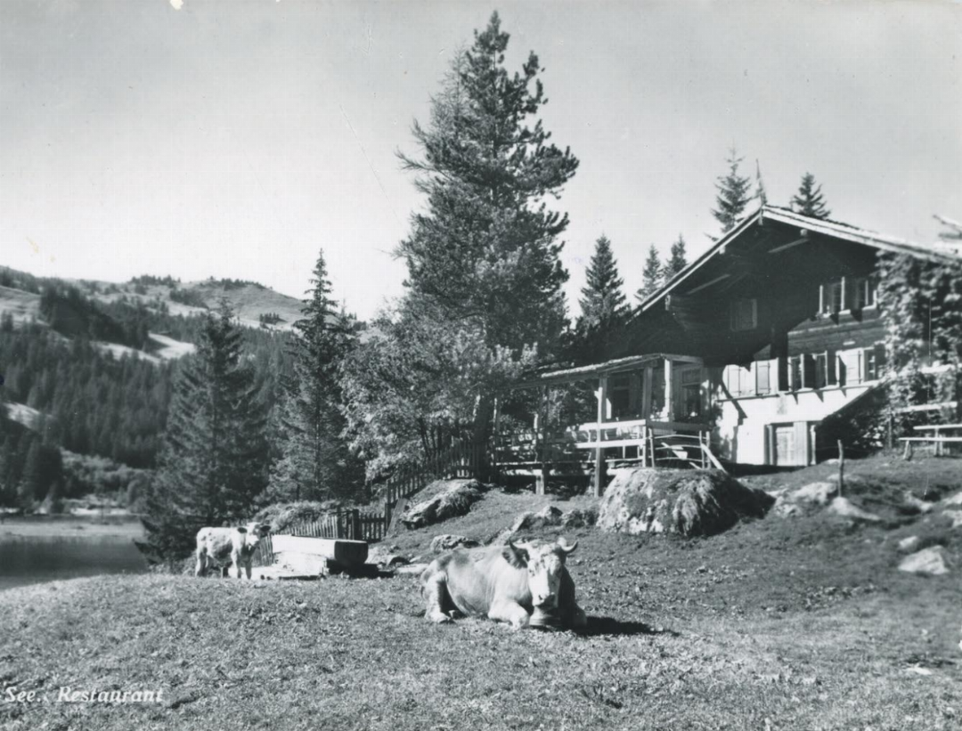 Mit dem Anbau mit Säli und Terrasse wurde die Vorsass-Stafel ab 1901 im Sommer als Restaurant genutzt. FOTO: ZVG/FAMILIE VON GRÜNIGEN Mit dem Anbau mit Säli und Terrasse wurde die Vorsass-Stafel ab 1901 im Sommer als Restaurant genutzt. FOTO: ZVG/FAMILIE VON GRÜNIGEN