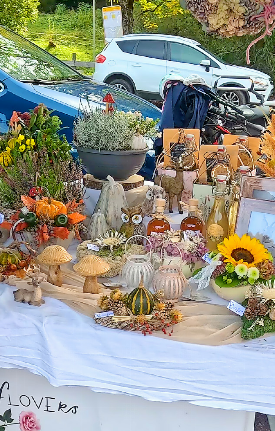 Hirsche, Kürbisse und Pilze – passend zur aktuellen Jahreszeit: Dekoration zum Herbst. Hirsche, Kürbisse und Pilze – passend zur aktuellen Jahreszeit: Dekoration zum Herbst.