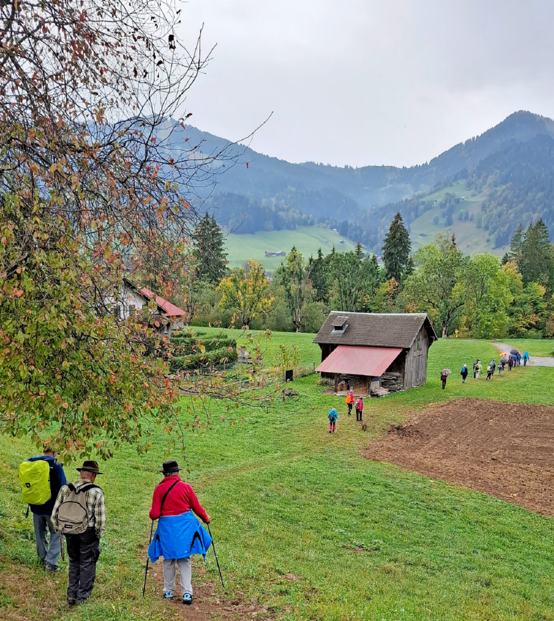 Letzte Wanderung des Jahres führte von Château-d’Oex nach Rossinière - Das Bild wird blockiert. – Möglicherweise durch einen aktiven Adblocker.