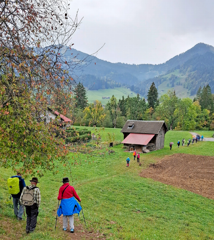 Von Château-d’Oex nach Rossinière: Die herbstliche Landschaft sorgte bei den 21 Seniorinnen und Senioren für viel Freude. FOTO: UELI MÜLLER