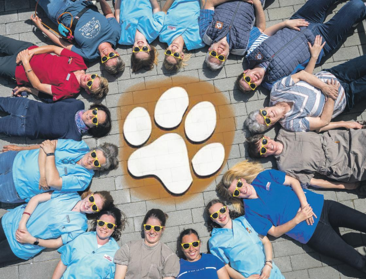 Gemeinsam für die Tiere der Region: das Team der Bergpraxis Animal.       FOTO: ZVG