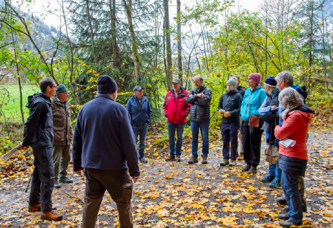 Wie sieht der Wald der Zukunft aus? Bei einem geführten Spaziergang erfuhren die Teilnehmenden, wie sich der Wald an den Klimawandel anpassen muss. Wie sieht der Wald der Zukunft aus? Bei einem geführten Spaziergang erfuhren die Teilnehmenden, wie sich der Wald an den Klimawandel anpassen muss.